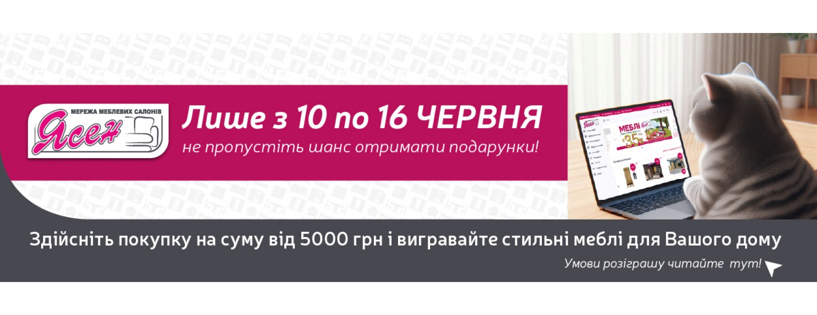 «32 роки затишку» у «Ясен»
